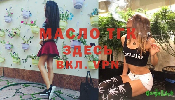 крисы Дмитровск